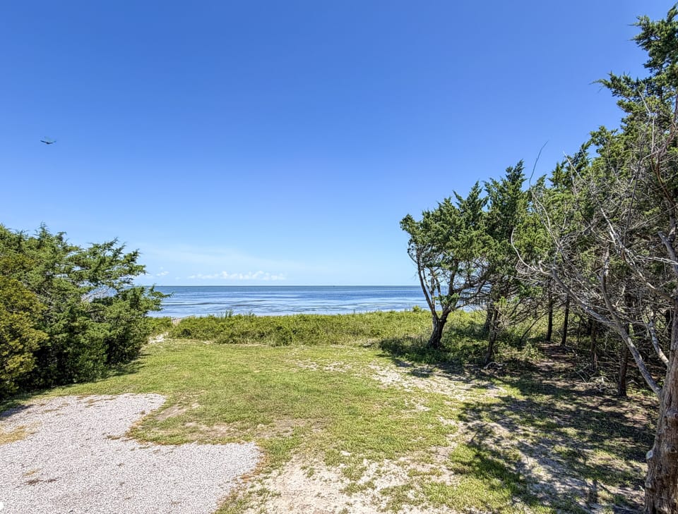 Seafield Backyard