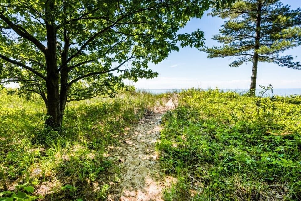 Beach Path