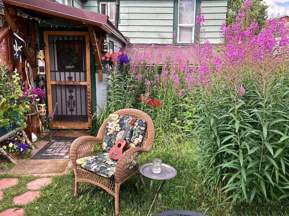 The wild backyard with Native Fireweed in July!