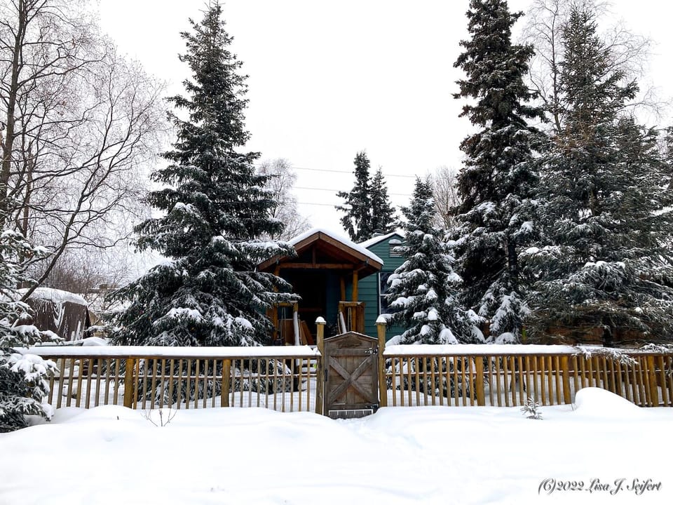 The snowed in front. Access and parking are around back.