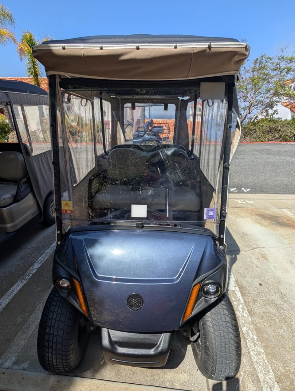 H319 - Golf Cart