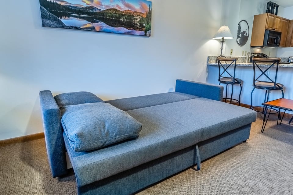 Living room - Sofa bed in living room