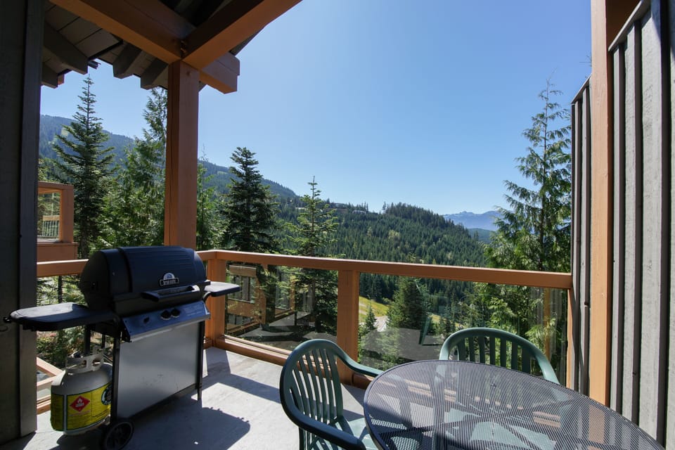 Patio area with BBQ