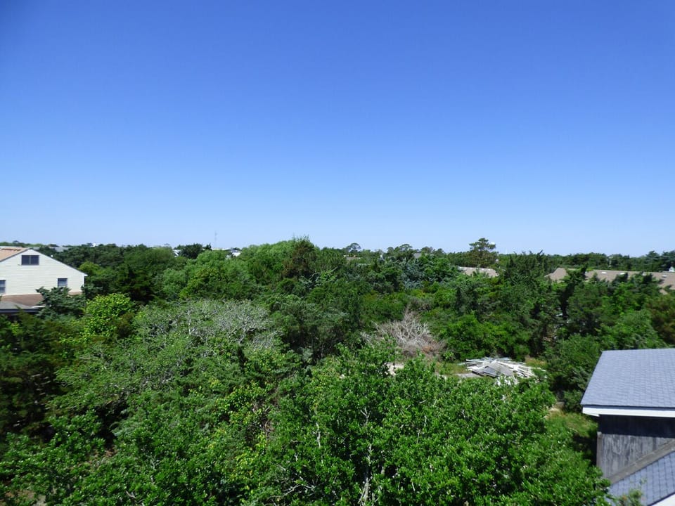 Lookout Deck View