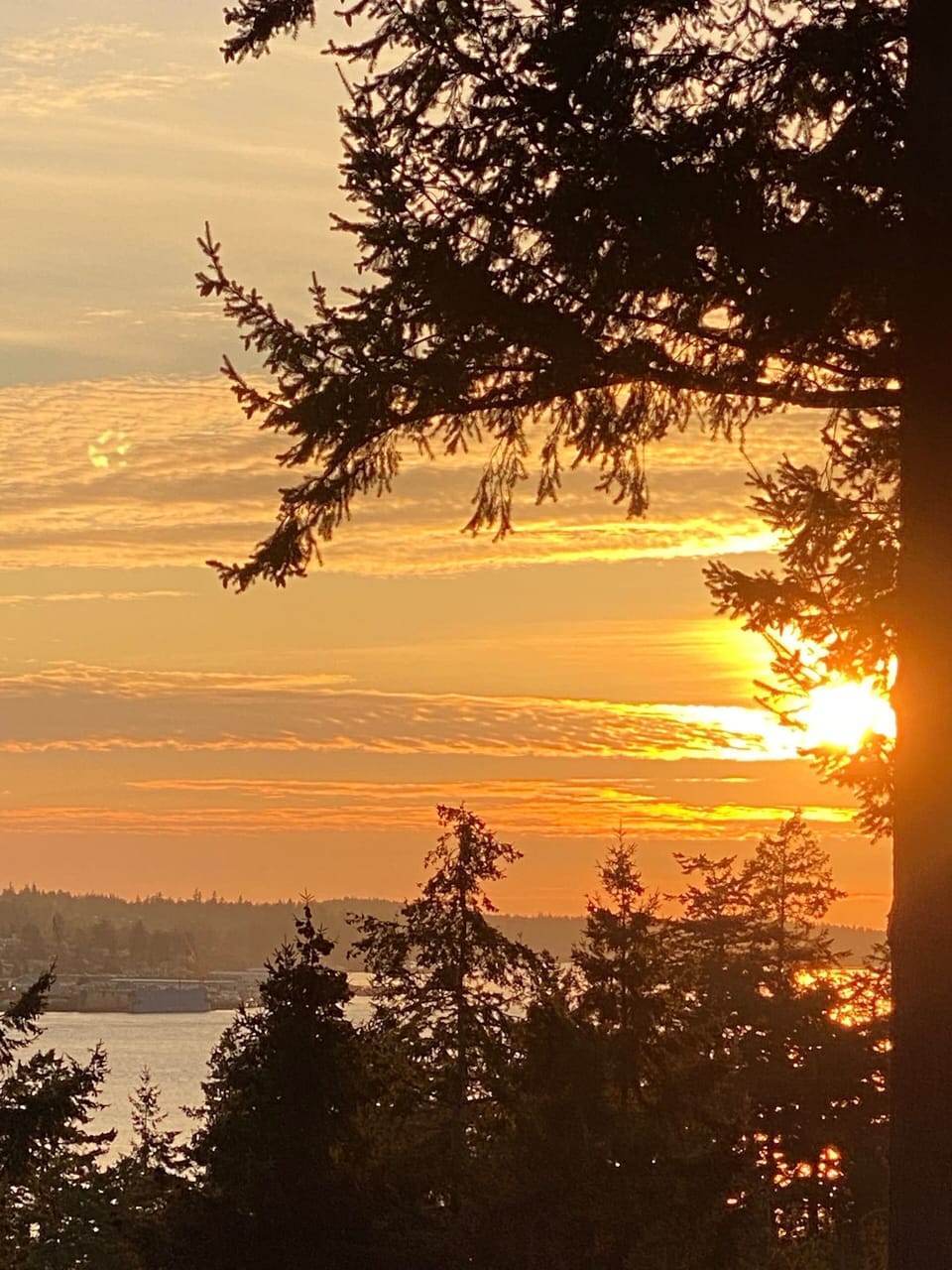 View from deck