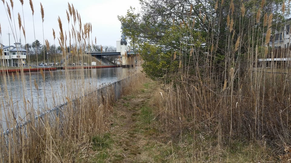 Walking path along canal.