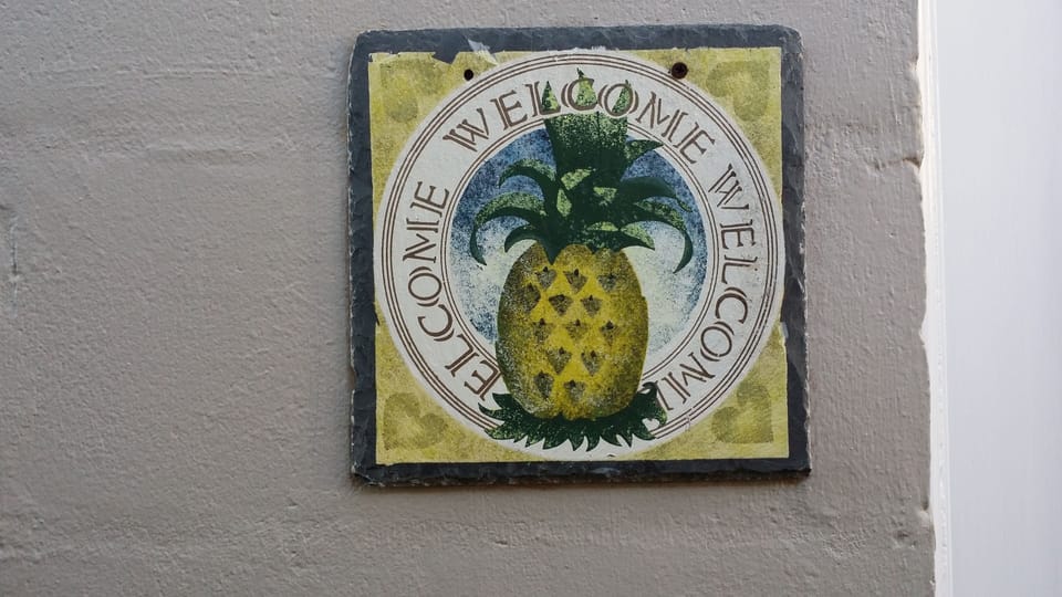 Pineapple , the symbol of hospitality