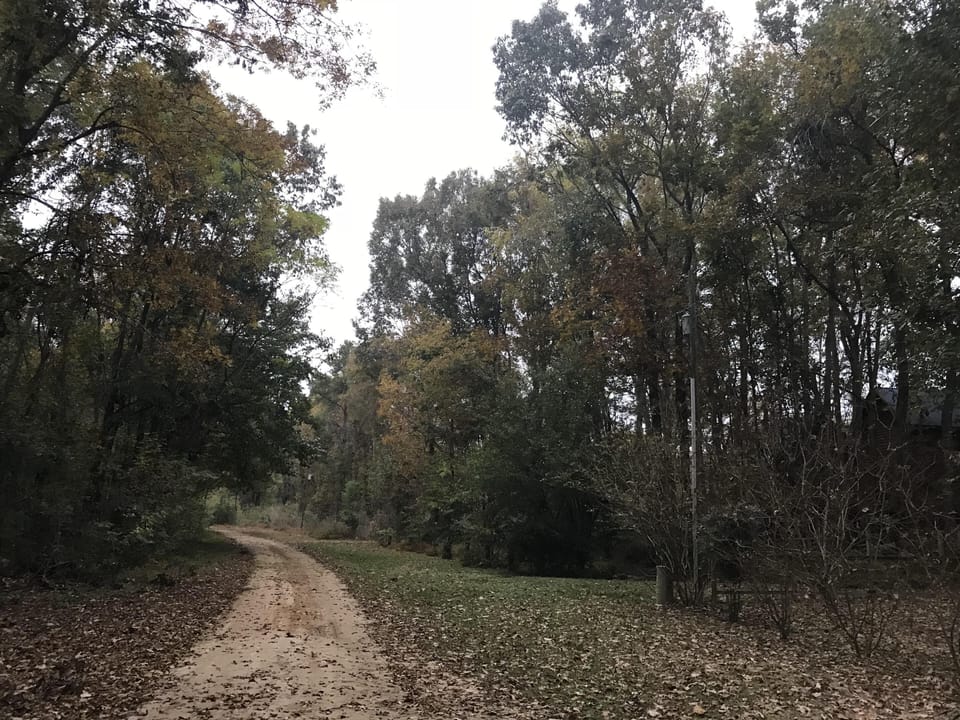Access road to cabins on a fall day