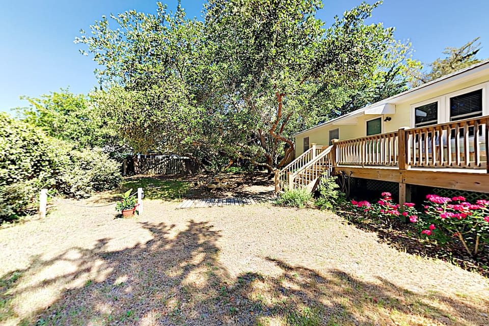 Front Yard