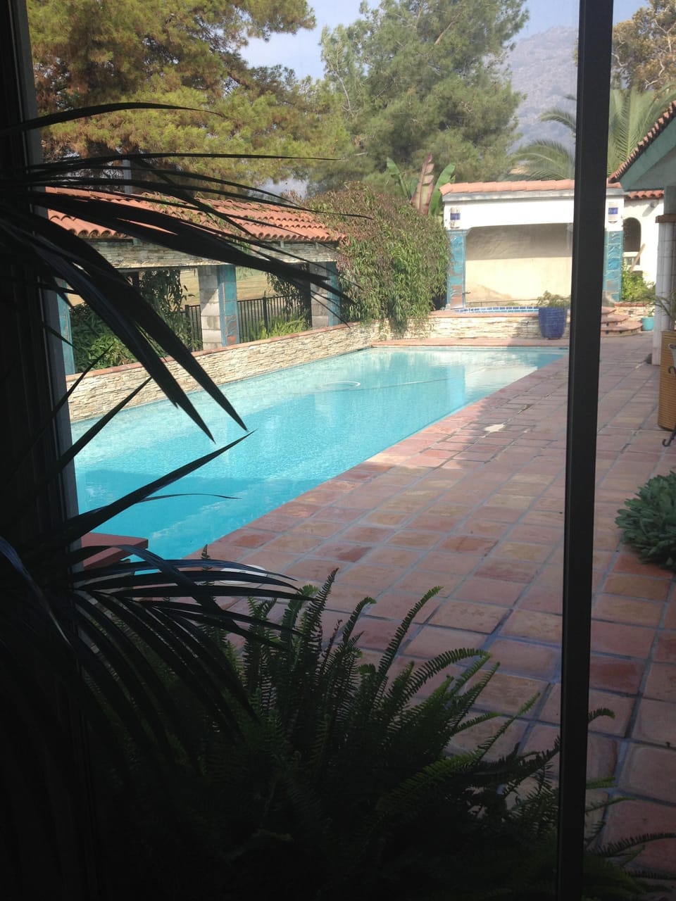View from a guest bedroom

