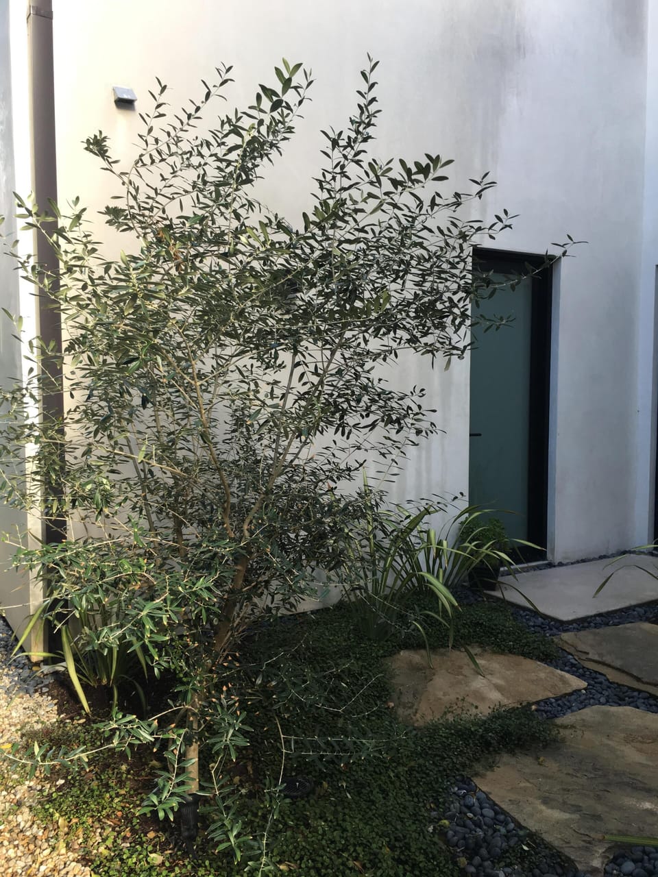 Dedicated entrance to the room.
