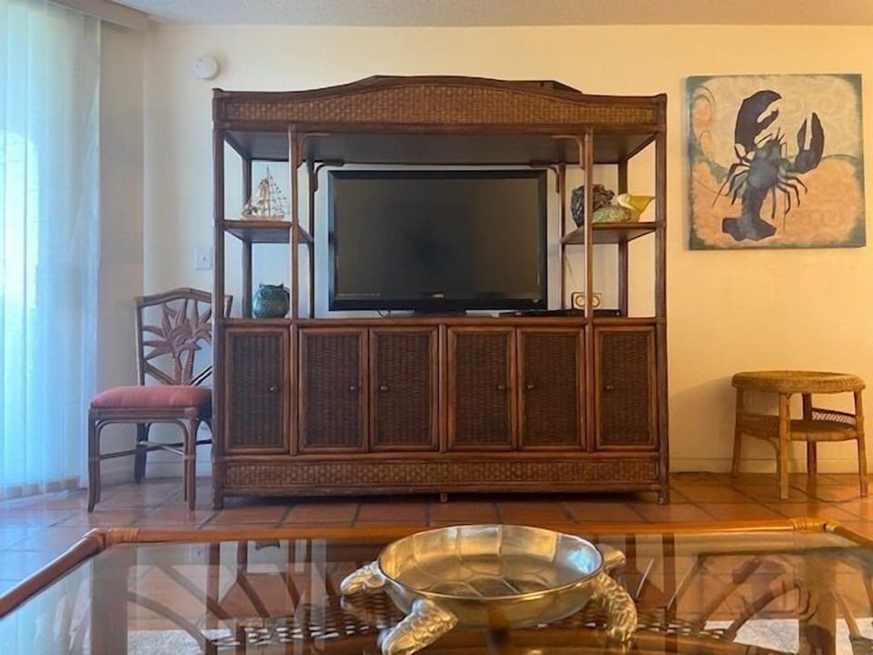 Living Room TV