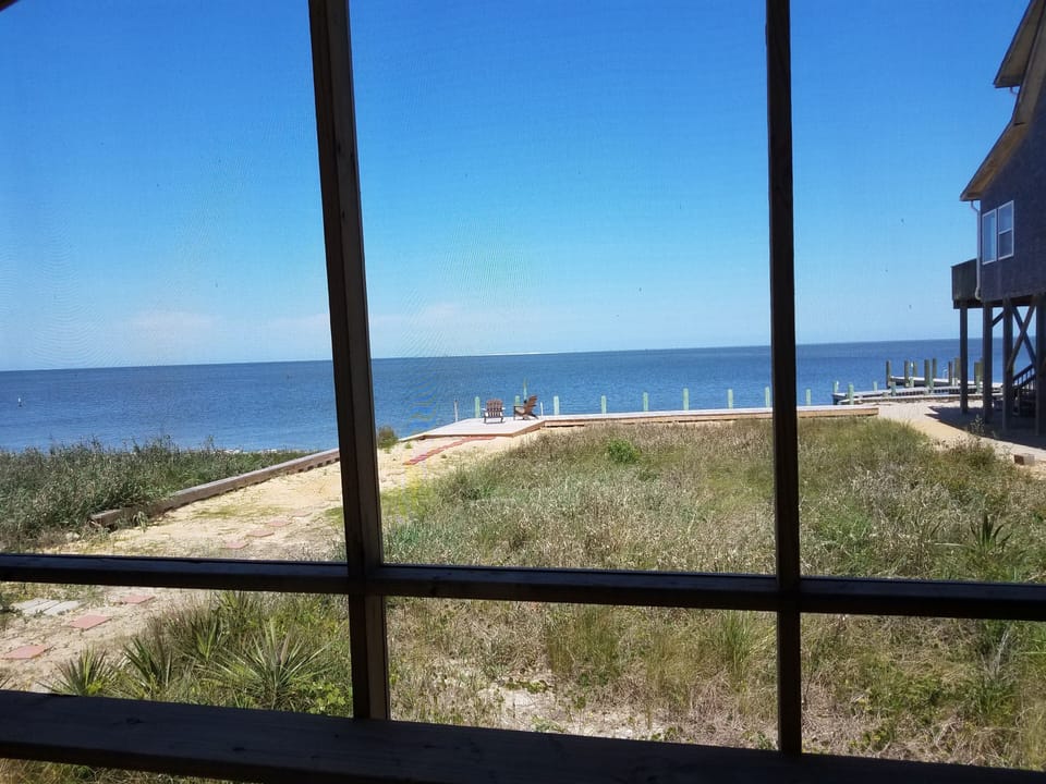 Screened Porch View