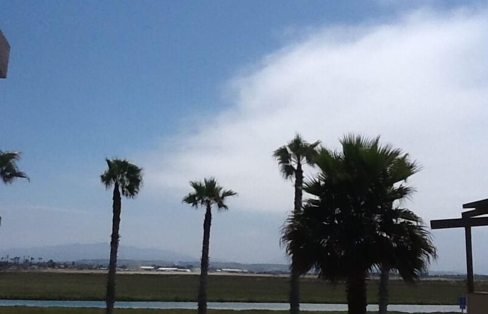 View from back of condo overlooking Estuary.  