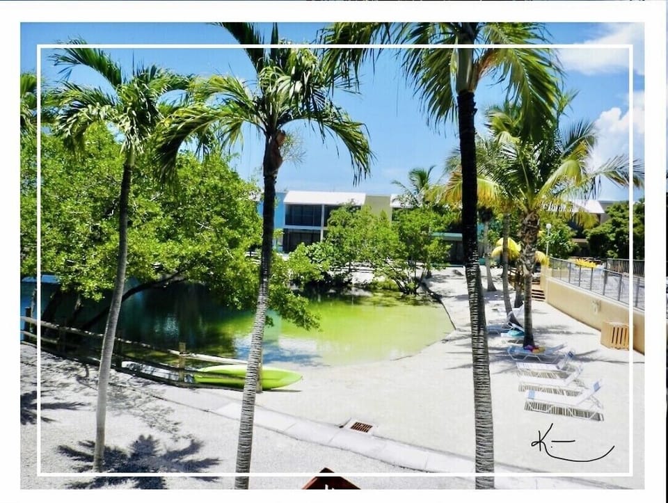 How closer can it be? Lagoon and pool right in front your balcony exit