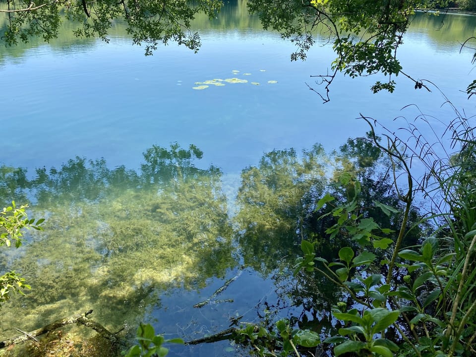 Wheal Grey lake reflections