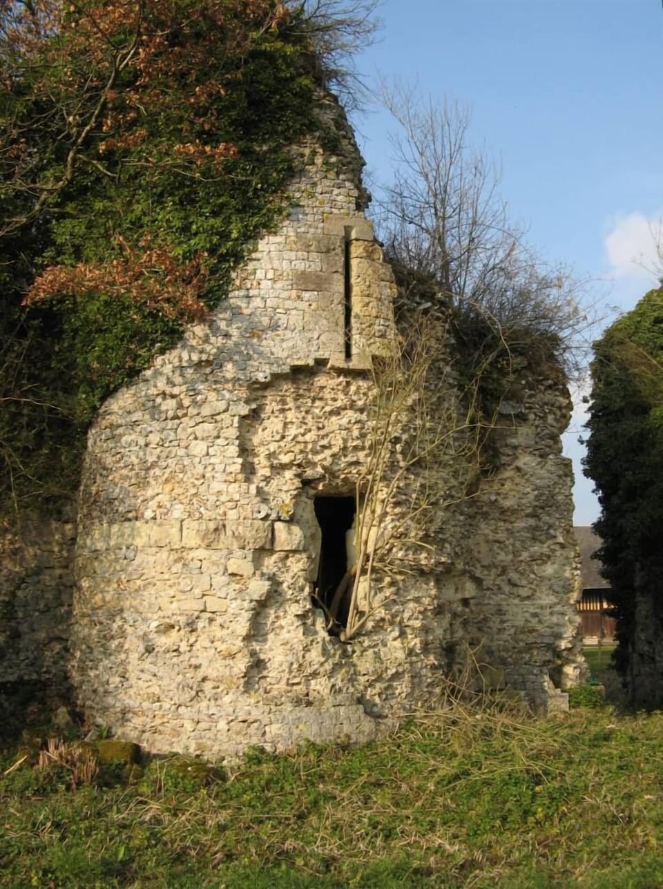 Caslle Tower