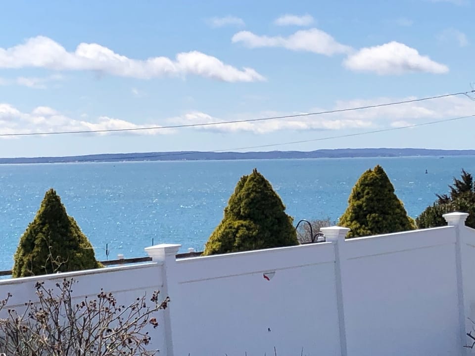 VIew from Picnic table
