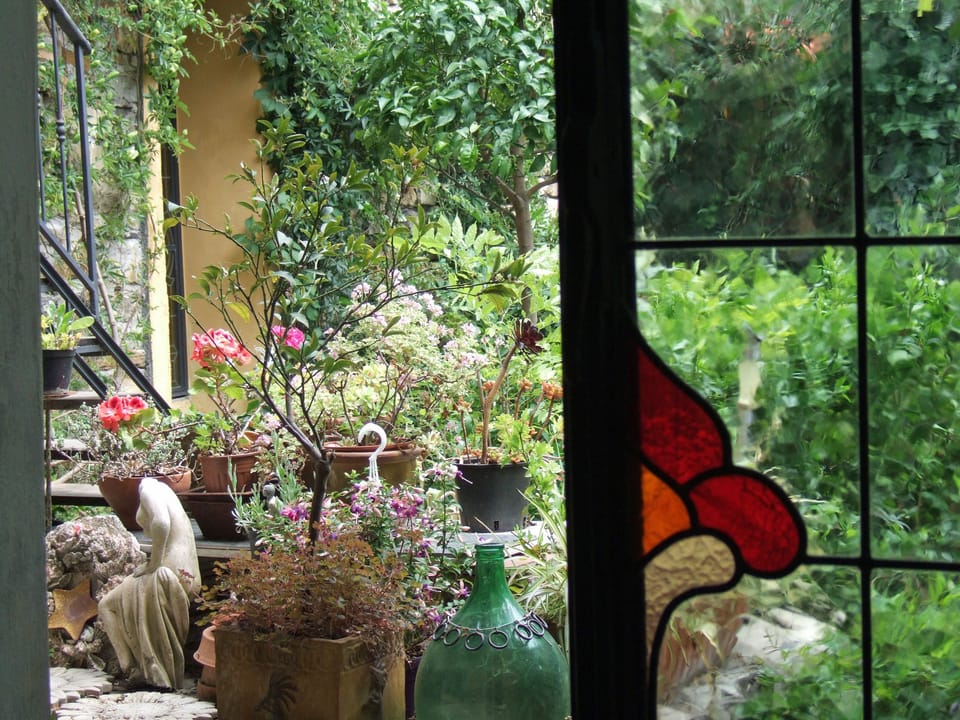 garden view from door