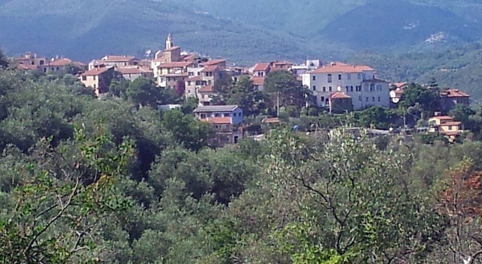Our village..3rd from left yellow house