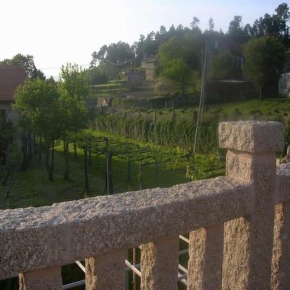 Terrace / Balcony
