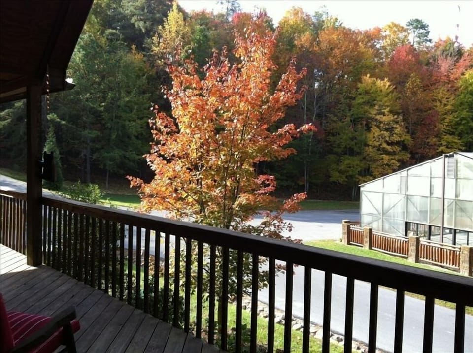 View of covered heated pool from front porch of cabin