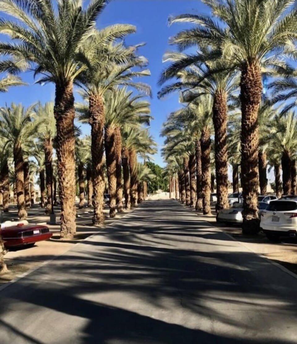 Palm Desert AquaticCenter