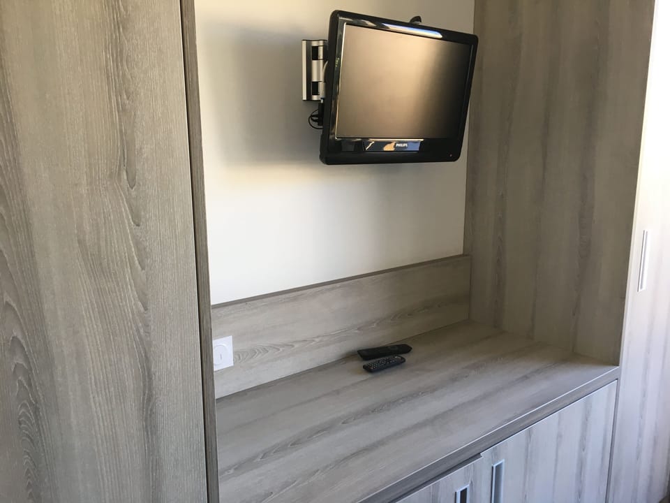 Television