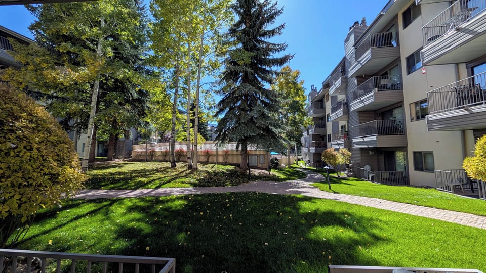 View from patio