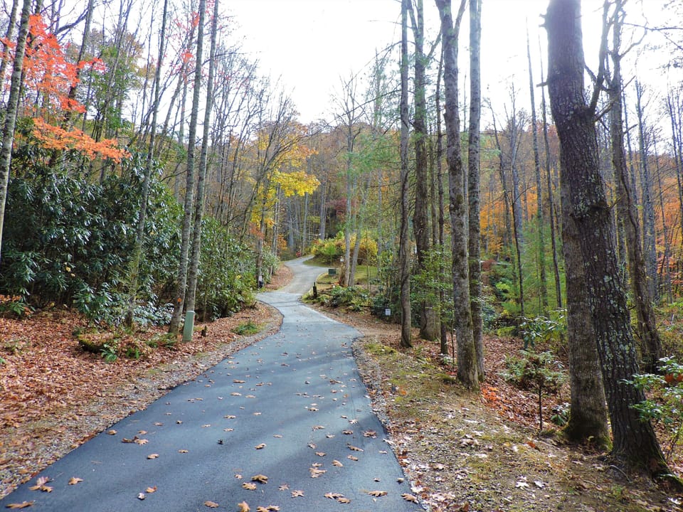 Private paved road to this cabin and two others.