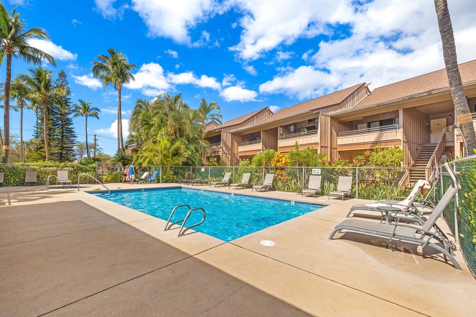 Lounge back and soak in the tropical paradise sunshine.