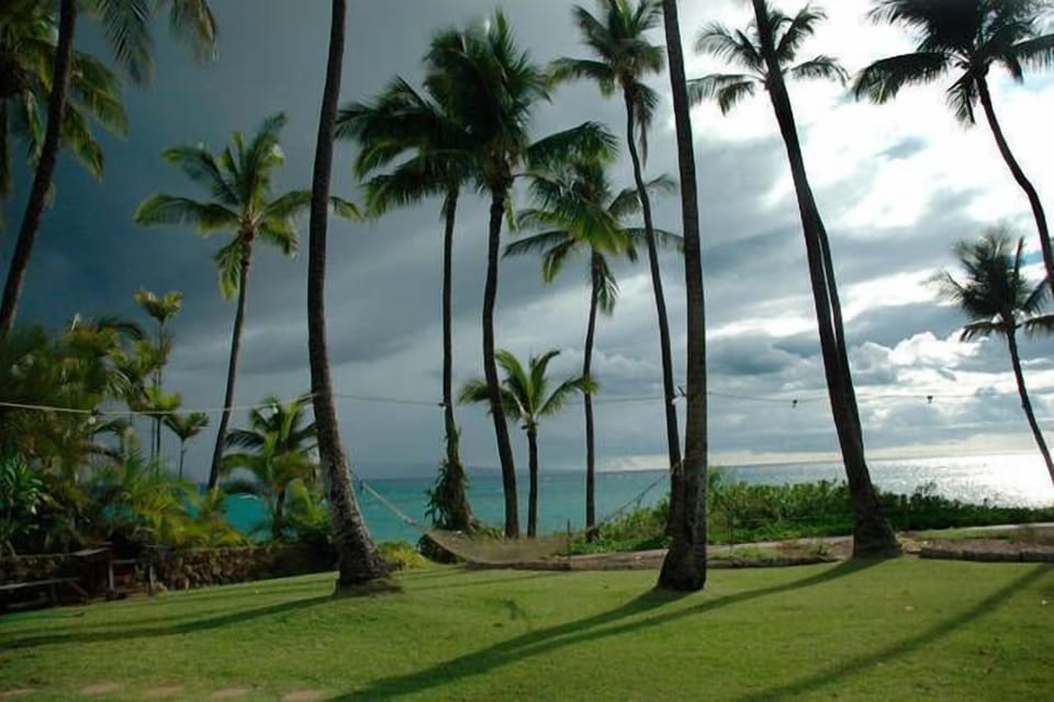 Guest access- spacious, grassy front lawn overlooks Charley Young Beach