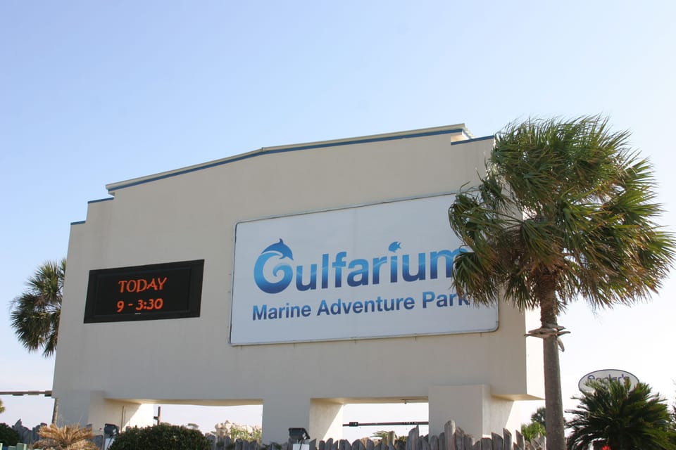 Next to fishing pier is Gulfarium Adventure Park-- great shows for whole family.