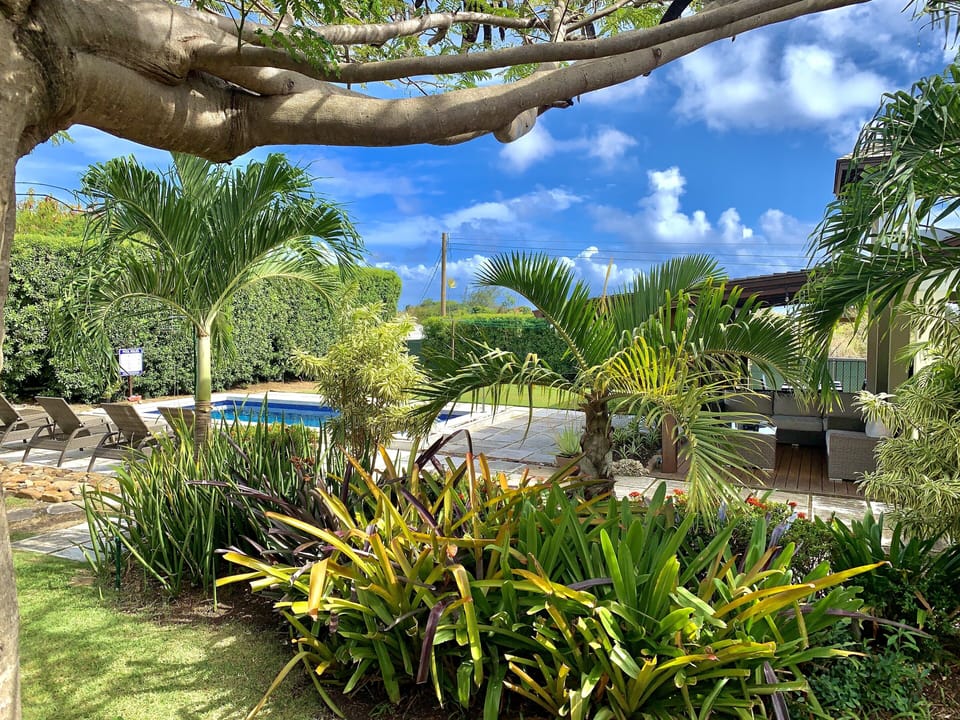 Expansive lawn surrounded by tropical greenery for outdoor leisure.