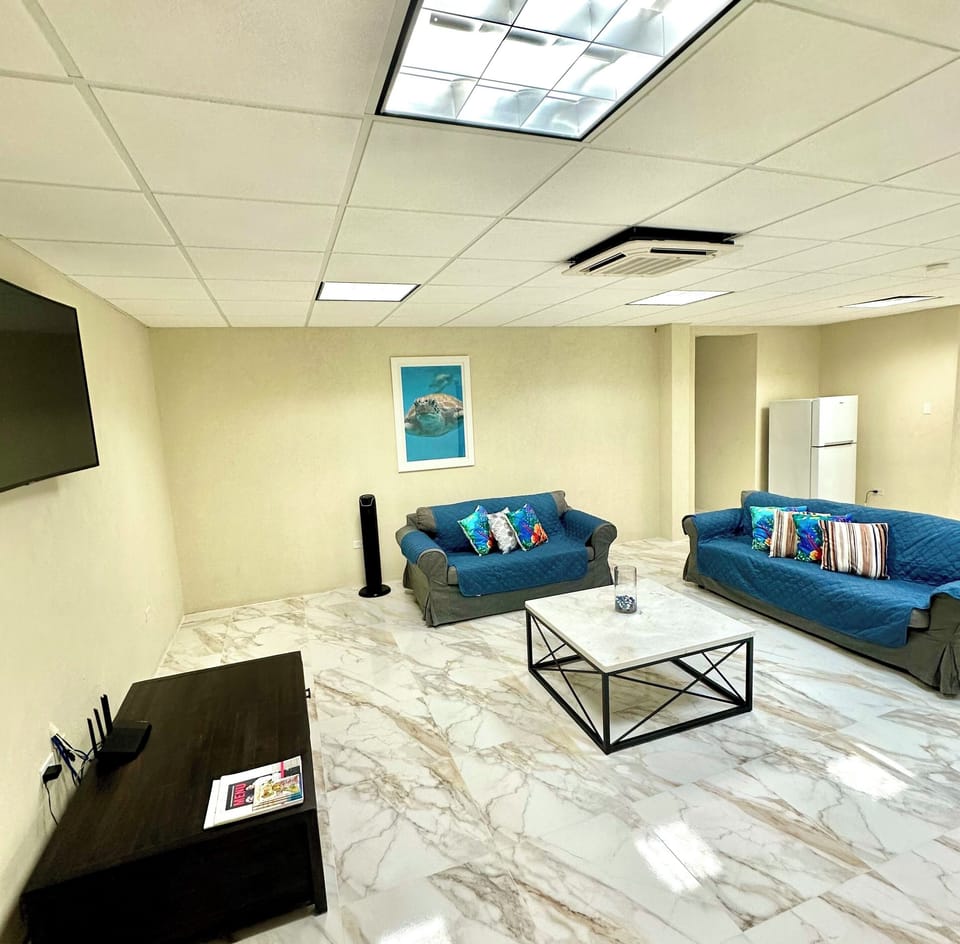 Add on Independent suite with king bed, smart TV, fridge and ensuite bath.