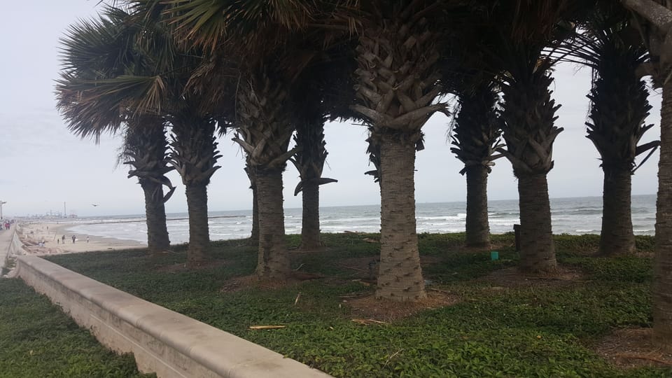 Our Seawall!  Just Walk To It!