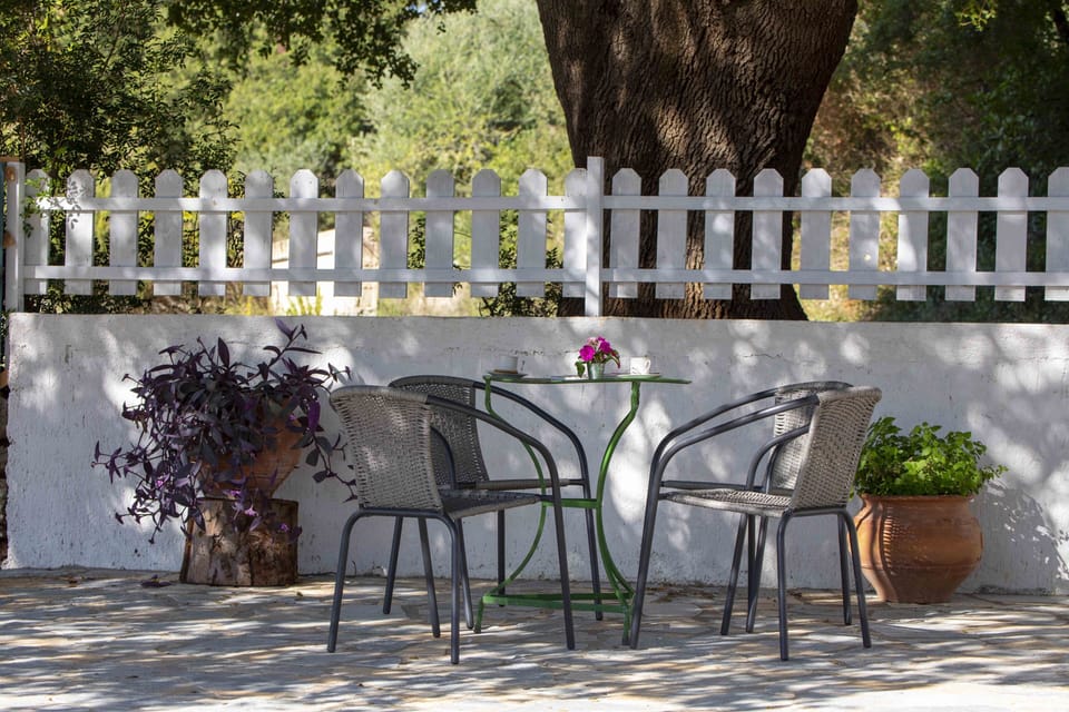 The sitting area under the old oak tree