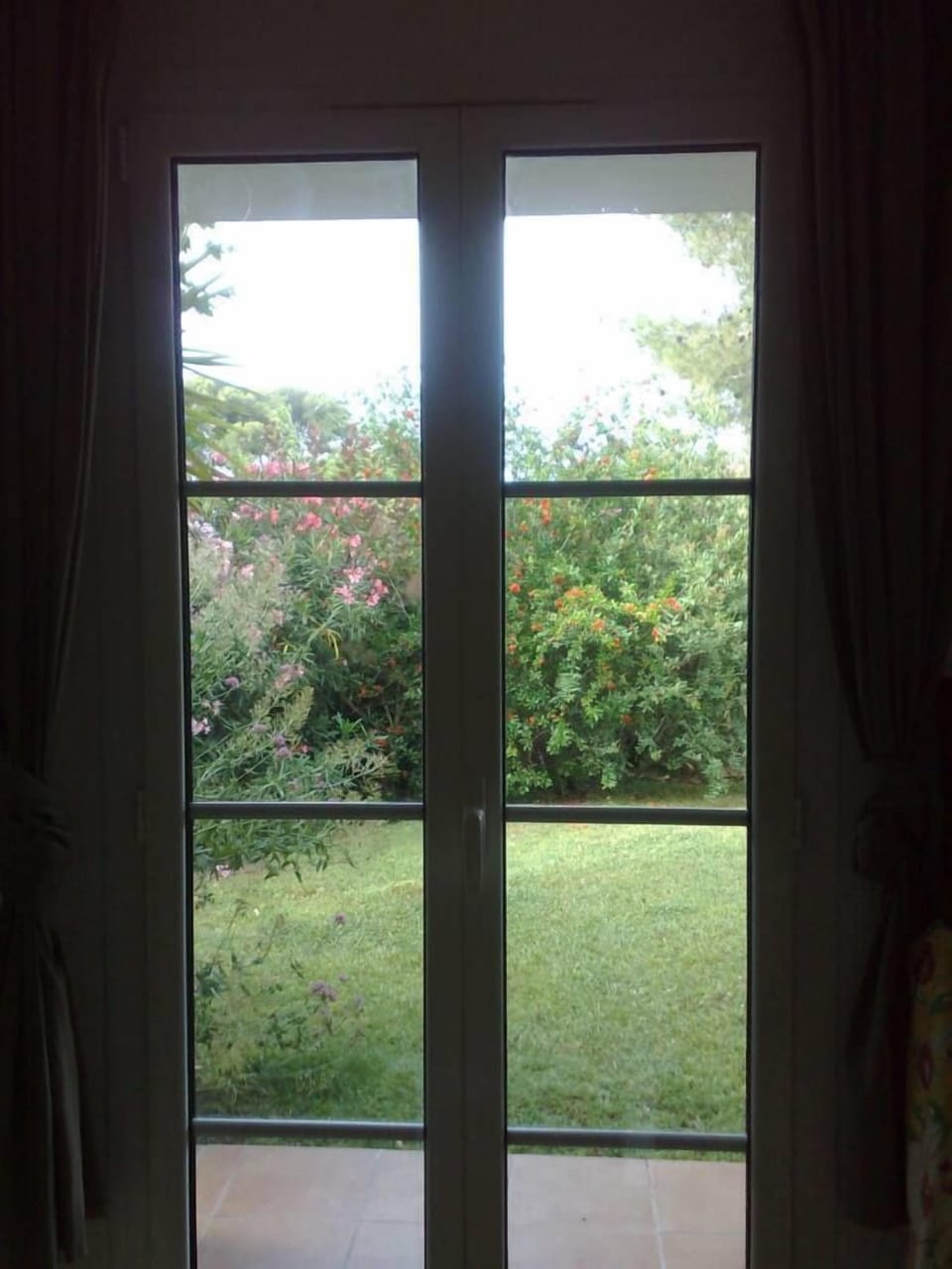 Garden, Park