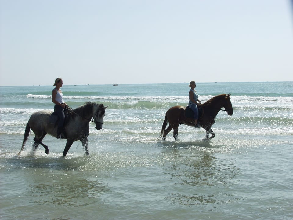 Beach