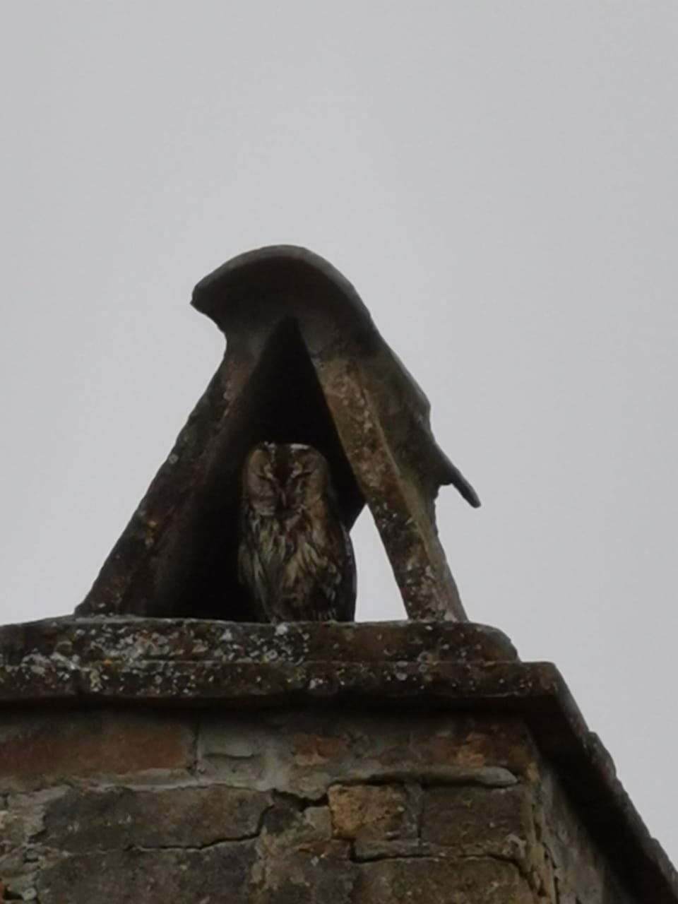 The castle howl