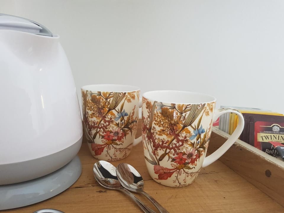 Electric kettle