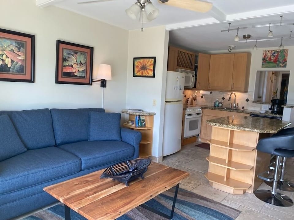 Comfy sofa and queen sofa bed with thick foam mattress.