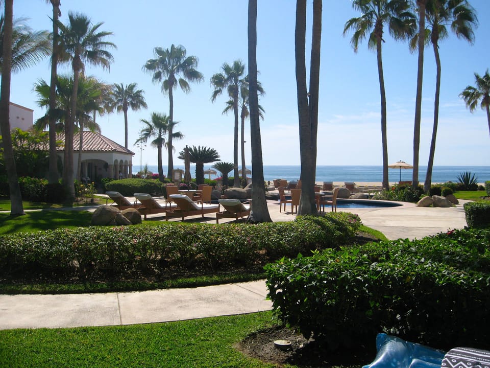 from the patio