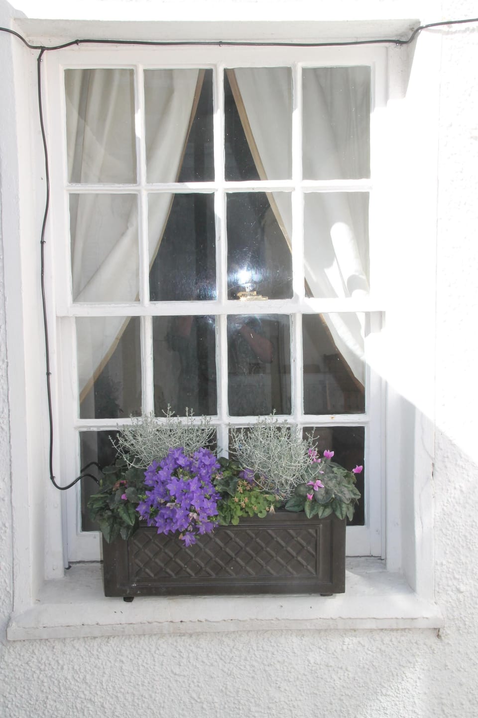 Courtyard Window Box