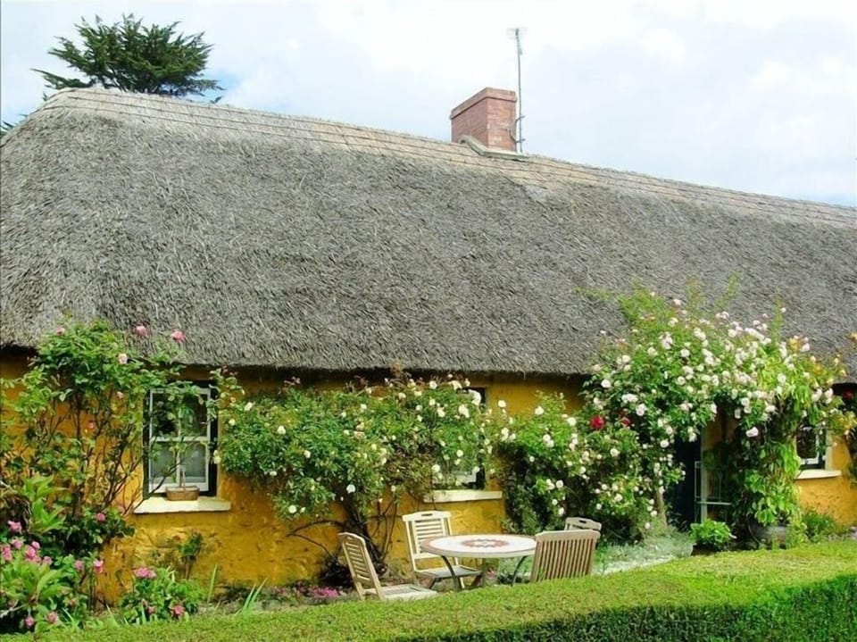 Secluded Thatched Cottage in tranquil Adare Countryside