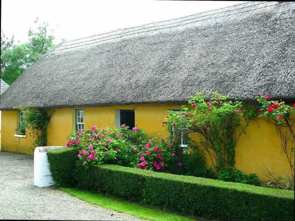 The Cottage in bloom