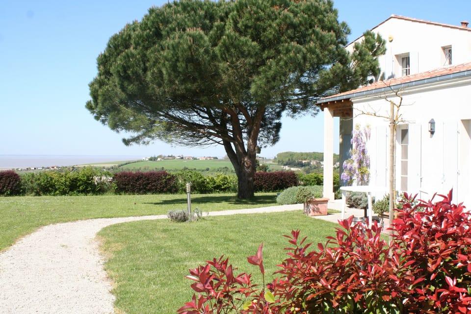 Cottage garden in Spring with estuary views