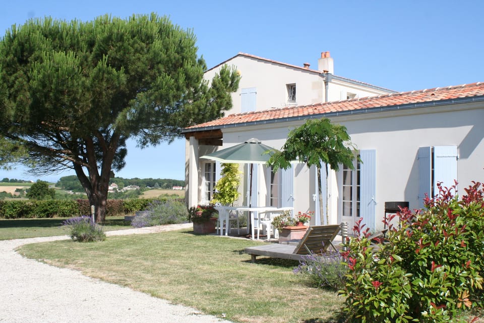 Secluded south facing cottage garden in summer