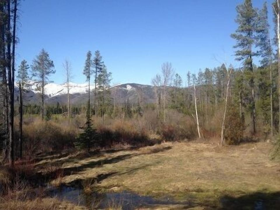 Backyard views of Glacier National park from BBQ area & front porch