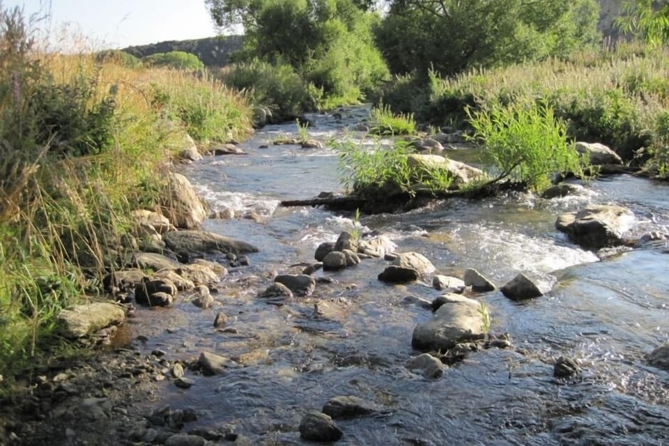 Cardrona River walk